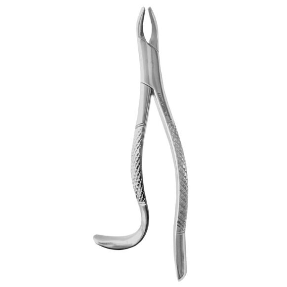 Extracting Forceps Fig. 24 - Image 1