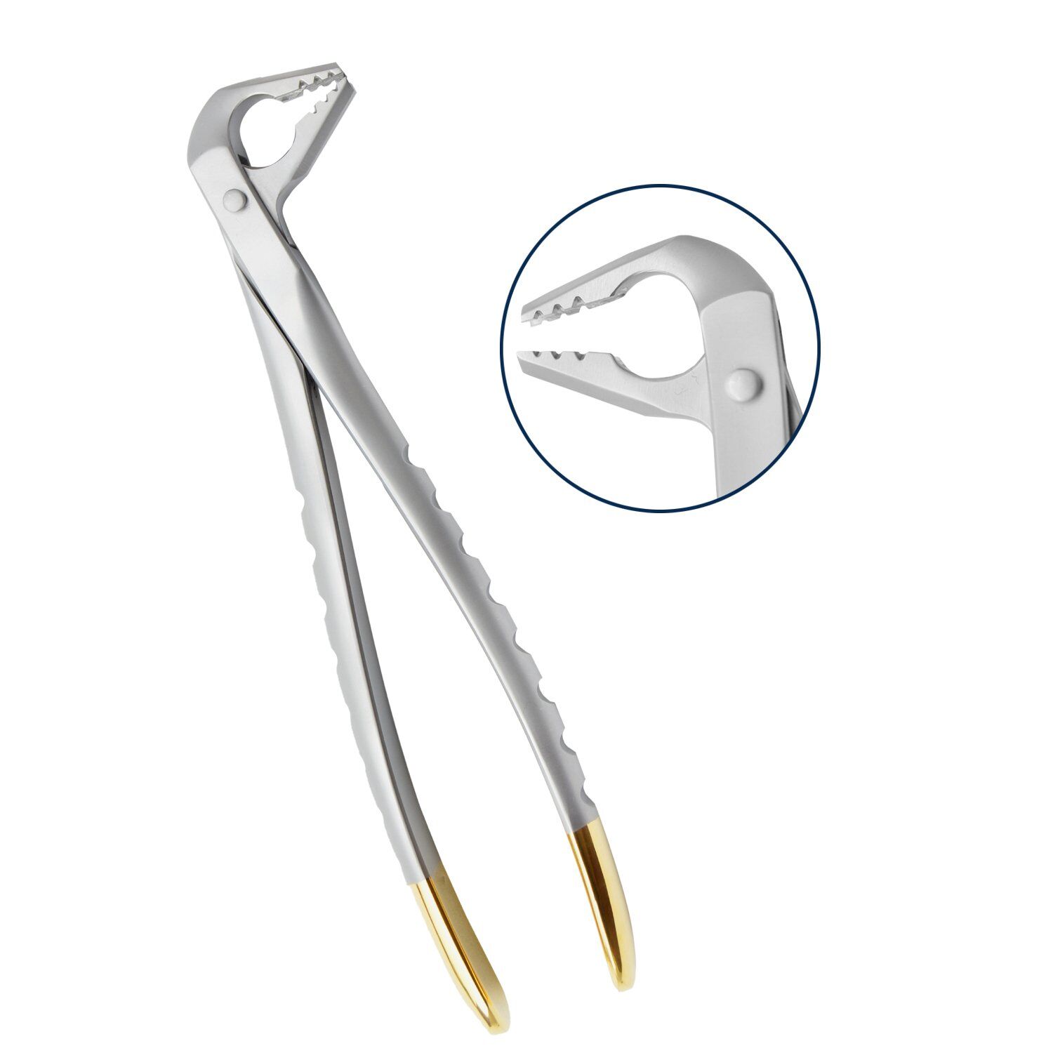 Deep Gripping Atraumatic Extracting Forceps - Image 1