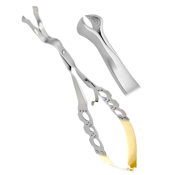 Endodontic File Holder Forceps with Thumb-Lock Endodontic File Holder Forceps with Thumb-Lock Stainless Steel