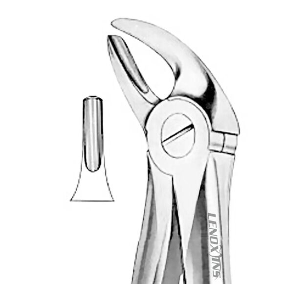 Extracting Forceps Fig. 4 - Image 1