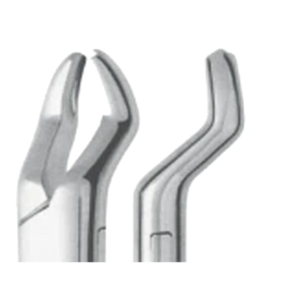 Extracting Forceps - Image 1