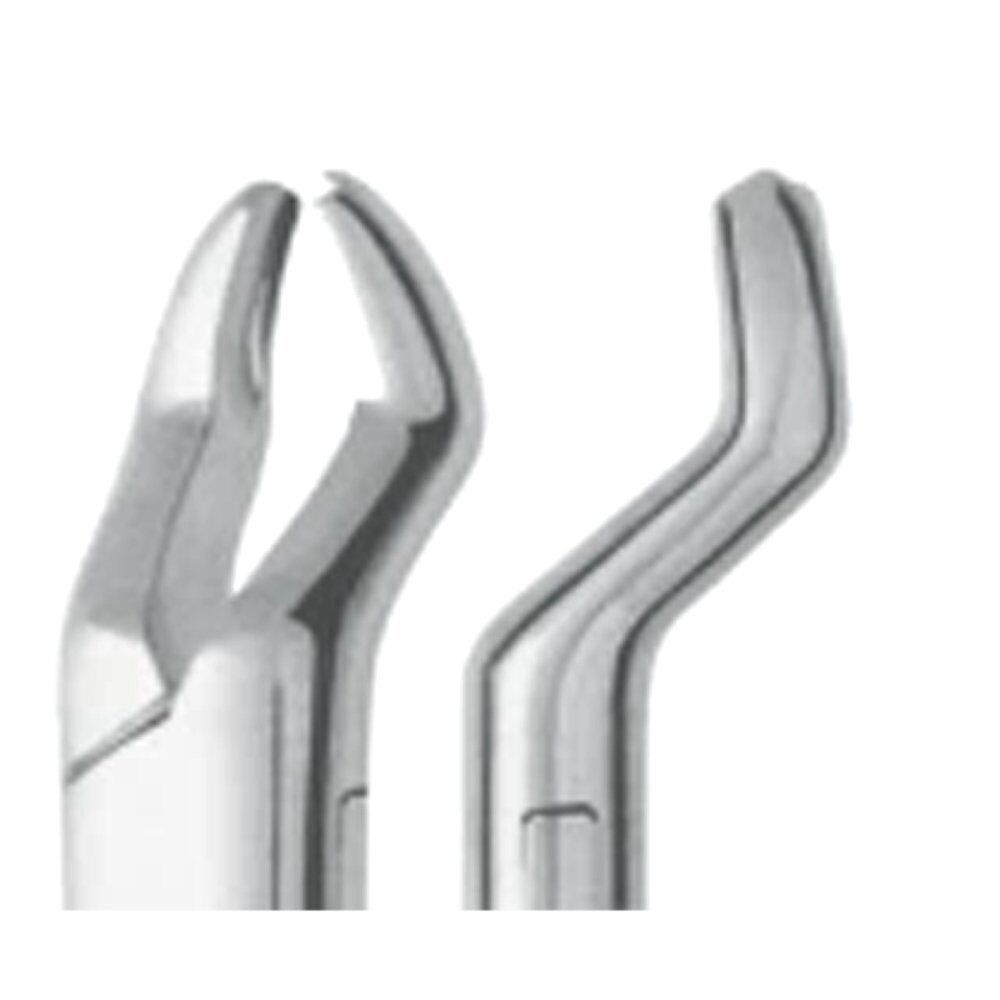Extracting Forceps - Image 1